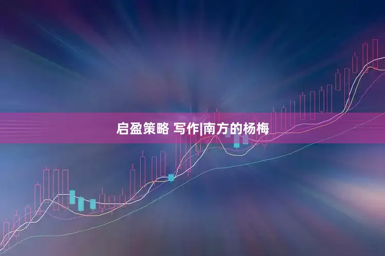 启盈策略 写作|南方的杨梅
