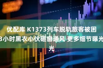 优配库 K1373列车脱轨旅客被困3小时黑衣小伙砸窗通风 更多细节曝光
