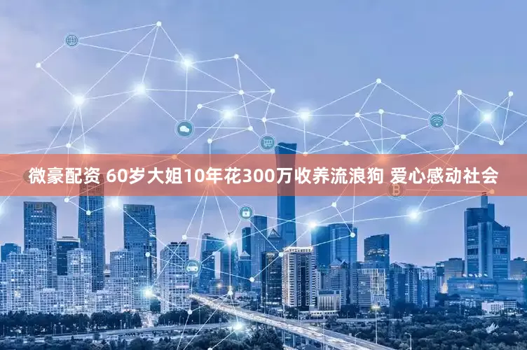 微豪配资 60岁大姐10年花300万收养流浪狗 爱心感动社会