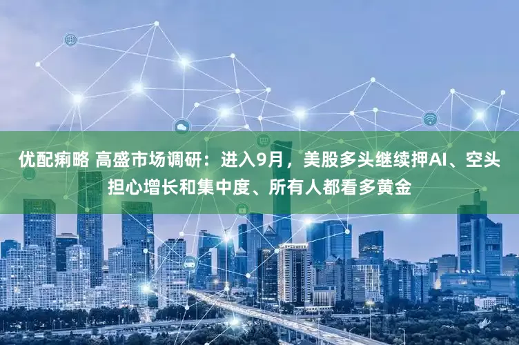 优配痢略 高盛市场调研：进入9月，美股多头继续押AI、空头担心增长和集中度、所有人都看多黄金
