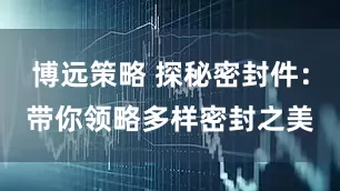 博远策略 探秘密封件：带你领略多样密封之美