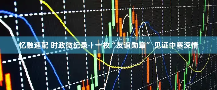 忆融速配 时政微纪录丨一枚“友谊勋章” 见证中塞深情