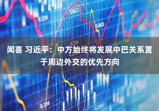 闻喜 习近平：中方始终将发展中巴关系置于周边外交的优先方向